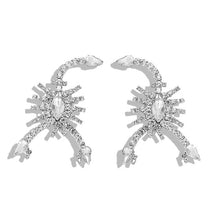 Load image into Gallery viewer, Women&#39;s Shiny Fringed Earrings