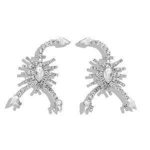 Women's Shiny Fringed Earrings