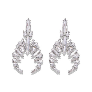 Women's Shiny Fringed Earrings