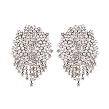 Load image into Gallery viewer, Women&#39;s Shiny Fringed Earrings