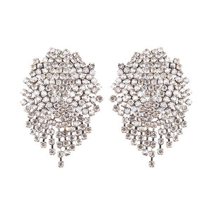 Women's Shiny Fringed Earrings