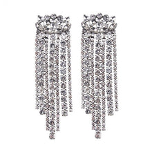 Load image into Gallery viewer, Women&#39;s Shiny Fringed Earrings